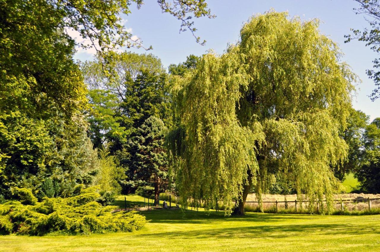 Gite La Normande Etreville Экстерьер фото